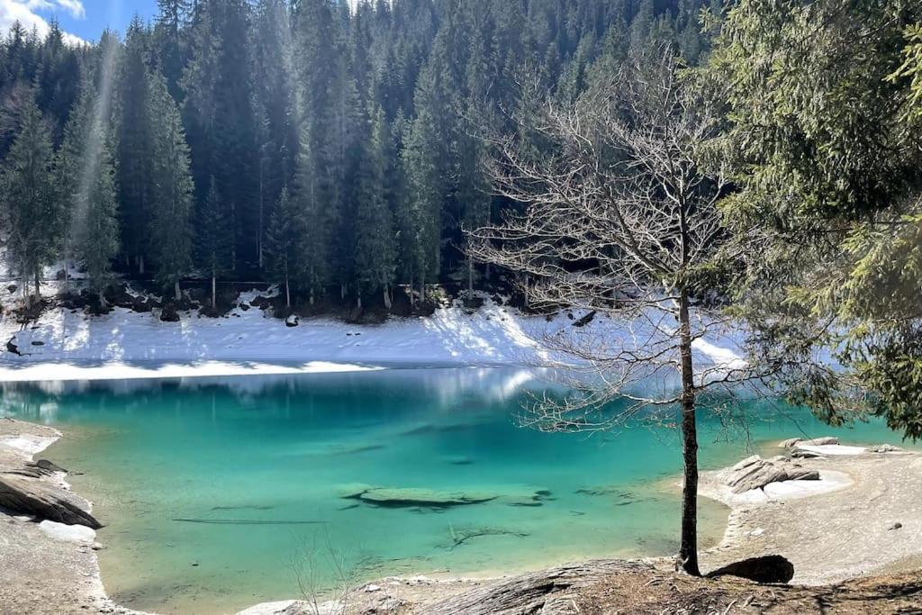 Swiss Chalet Near Flims Trin Zewnętrze zdjęcie